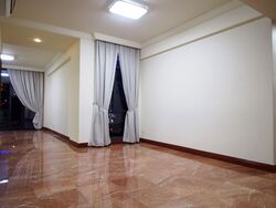 Eng Hoon Street (D3), Condominium #564221721